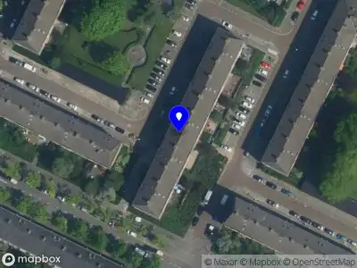 Bee Scene productions