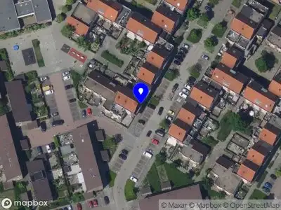 Search and Rescue Dog Netherlands