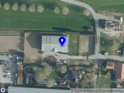 Jill Bogers Dressage