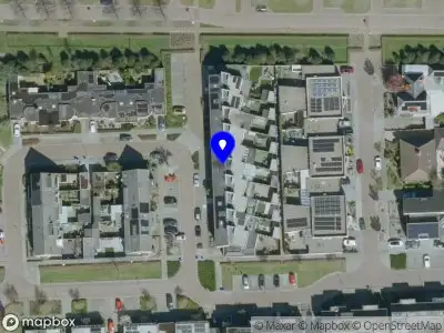 BOLD Strategy & Finance