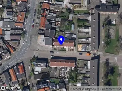 Graceful Gaze Roosendaal