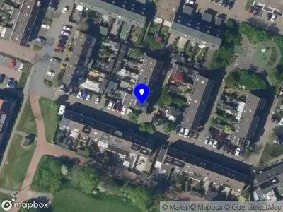 Mies Doodles Trimsalon