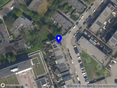 StarAniss Pressed Flowers