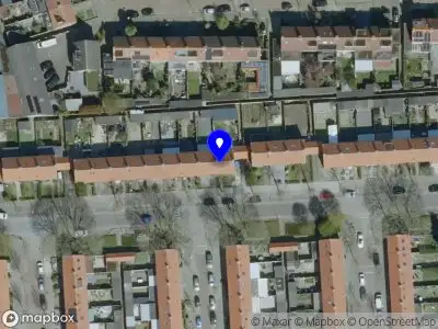 Haartransplantatie Eindhoven B.V.