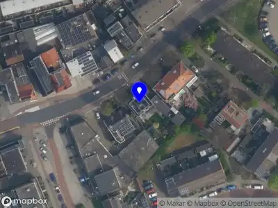 Fien Fleur Management Collective