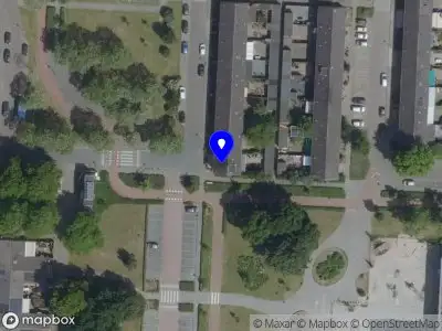 Alicia's Dog Coaching