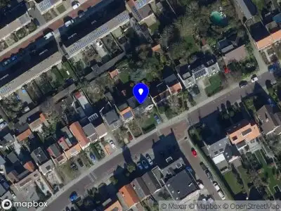 Nieuw bedrijf Zinzi Kok