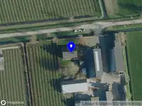 Lisanne van Zandwijk