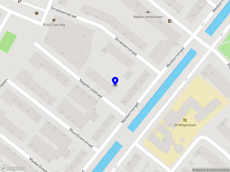 Star Coaching & Begeleiding Rotterdam