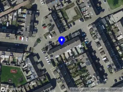 Blauwvlam SPIJKENISSE