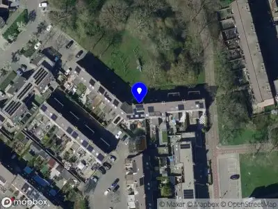 In je kracht met Roos