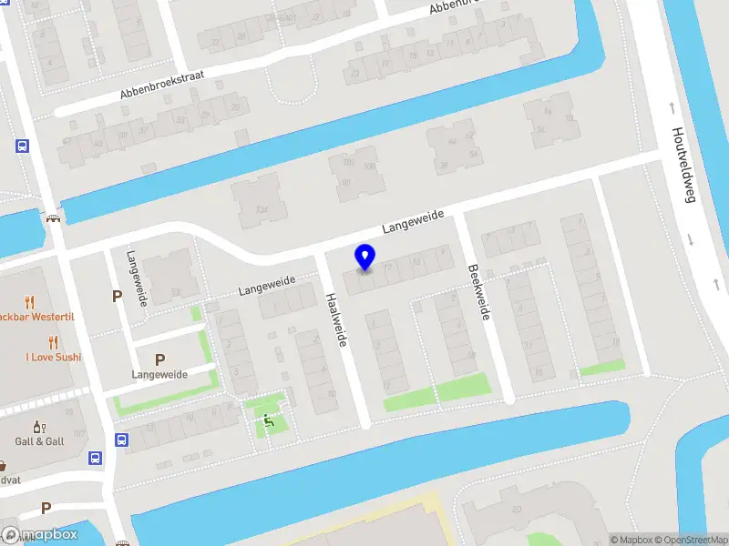 Hollandstucadoors ZAANDAM