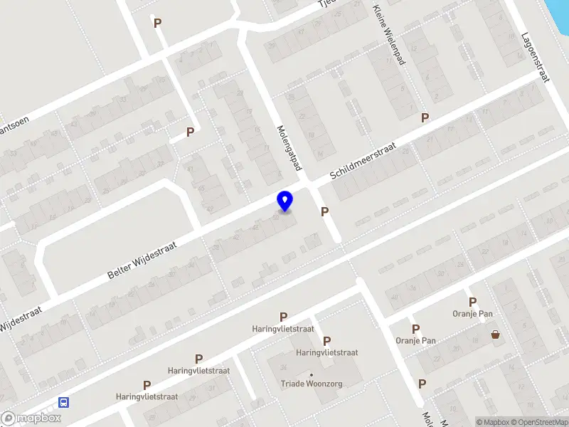 Nieuw bedrijf Leefbaar Almere