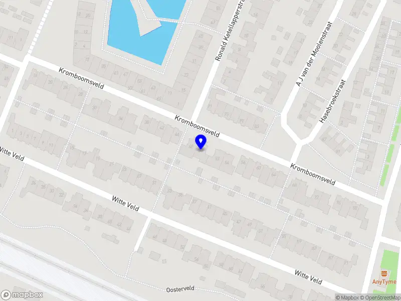 Nieuw bedrijf Sp.-O.S.S.