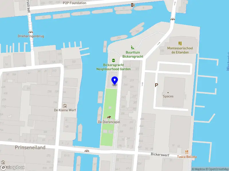 Dolfyn Submed B.V. Amsterdam