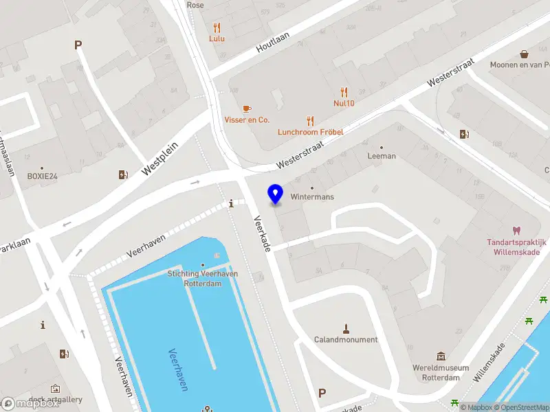 De Rooij Electronics and Visions B.V. Rotterdam