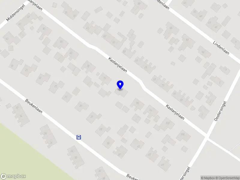 Dakdekkersbedrijf De Wit