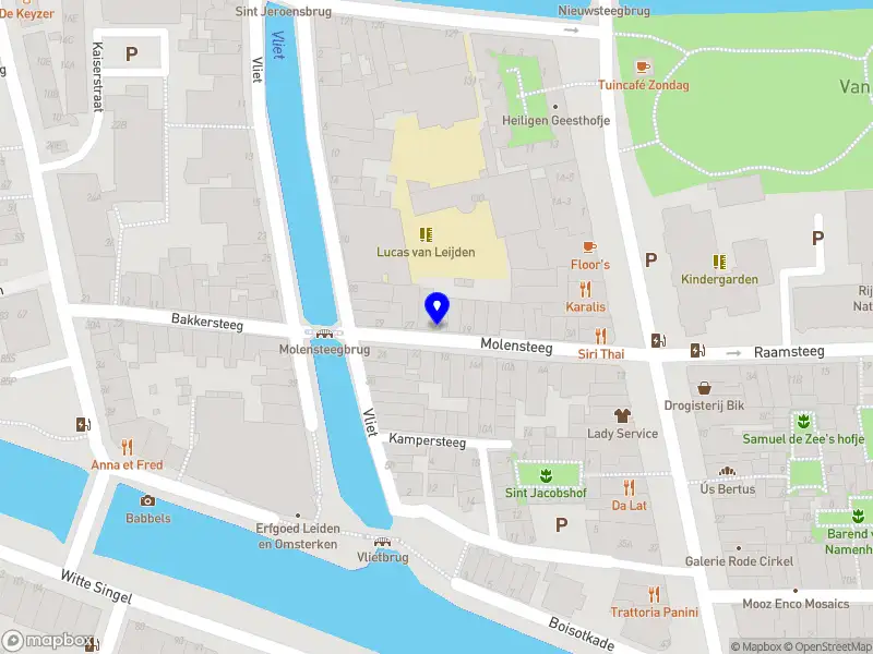 Sarasintan Solutions B.V. Leiden