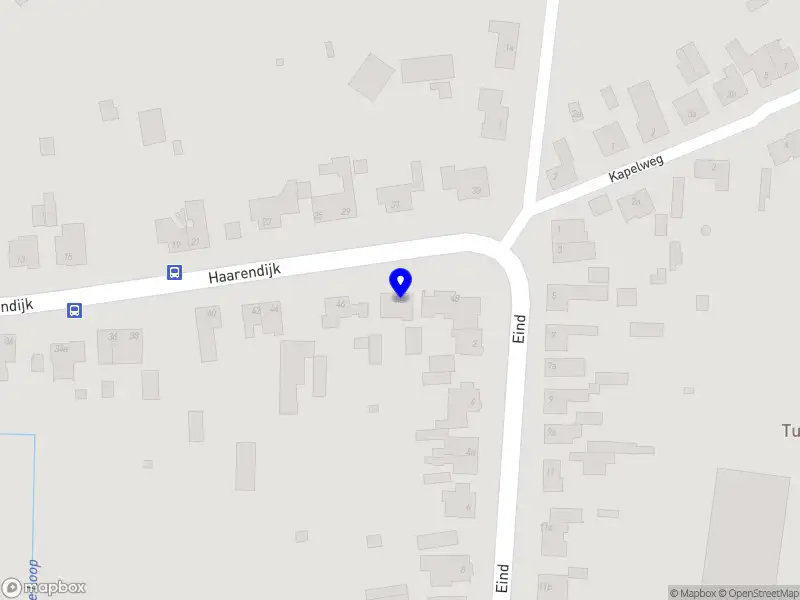 Willemijn van Laarhoven-van Gorkum