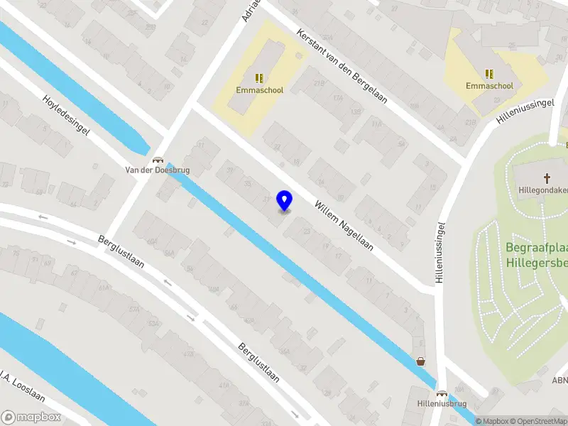 Guus van Weelden, toezicht en advies