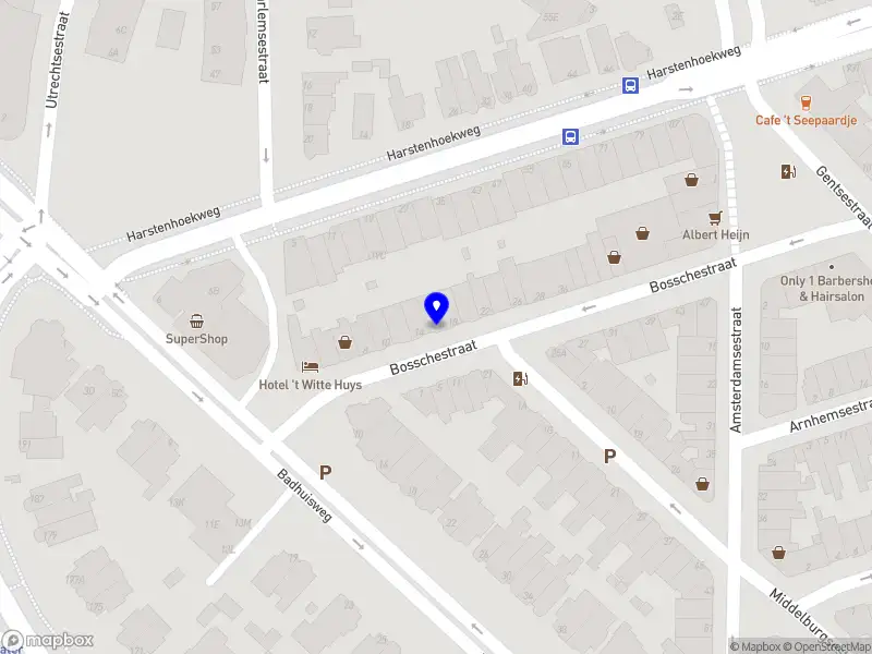 Dutch Nordic Walking