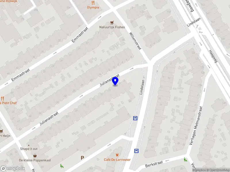 Wolf Diensten en Organisatie