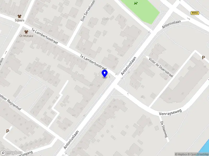 B&B Antonius beej de Maas