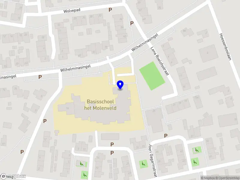 Lel bs het Molenveld Berghem