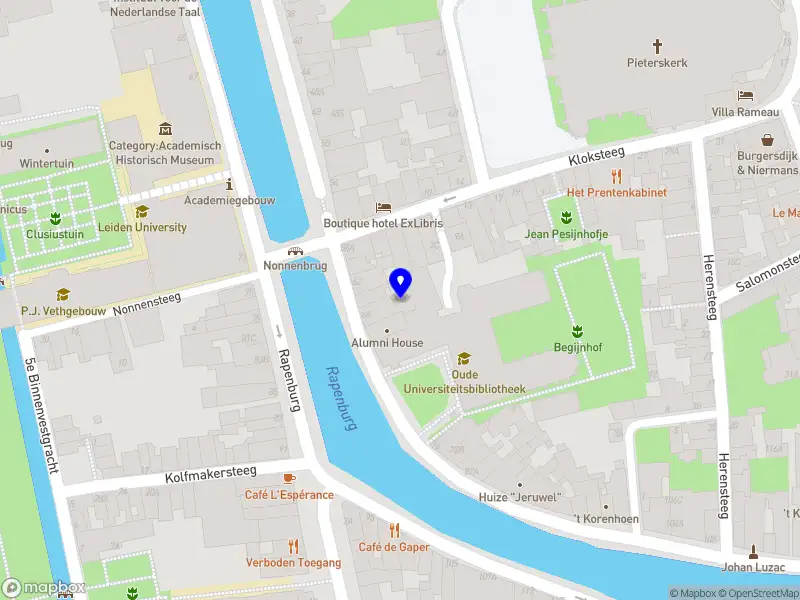 Advice and Management Pinto Leiden