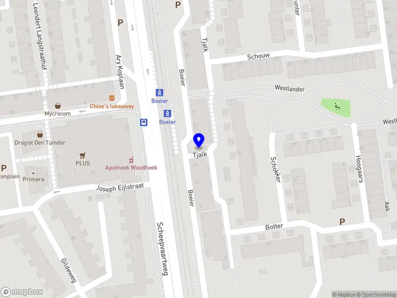 Kroesen Performance Physiotherapy Schiedam