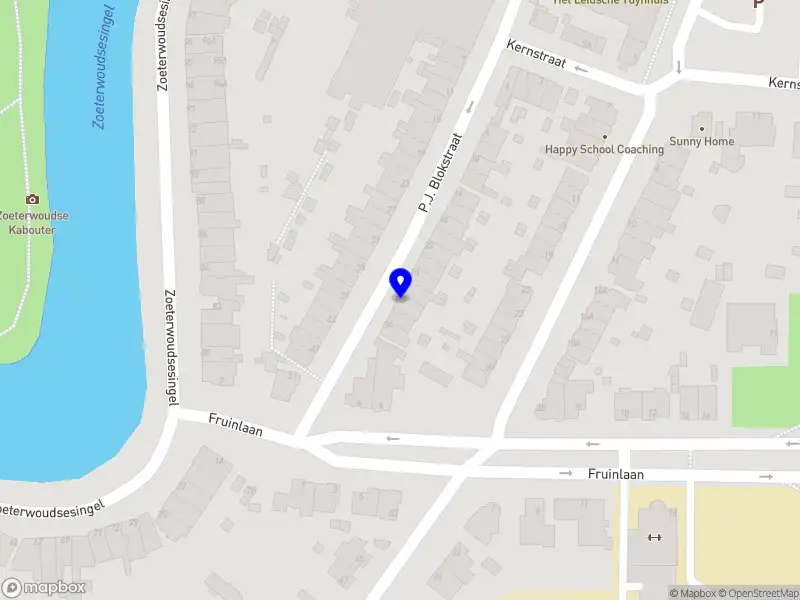 Fiene Heijmans Performer