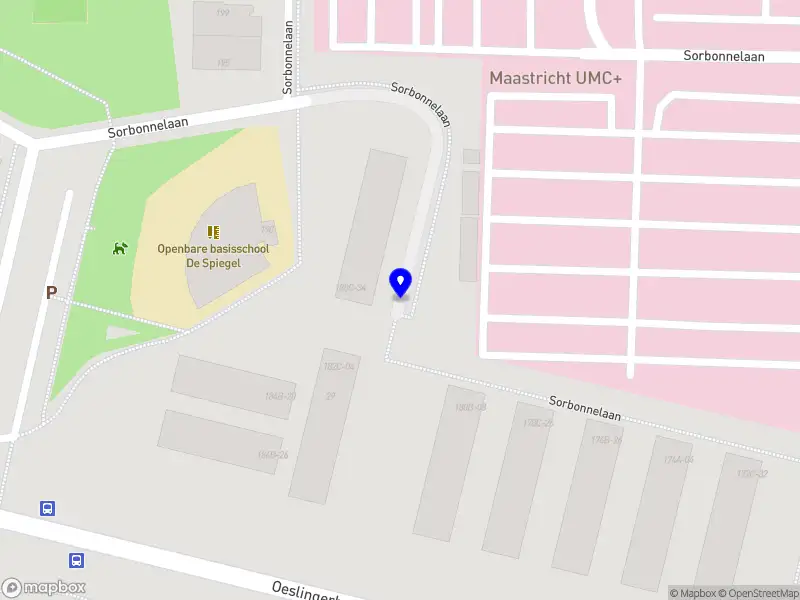 FIRMA JANDULA SEVILLANA Maastricht