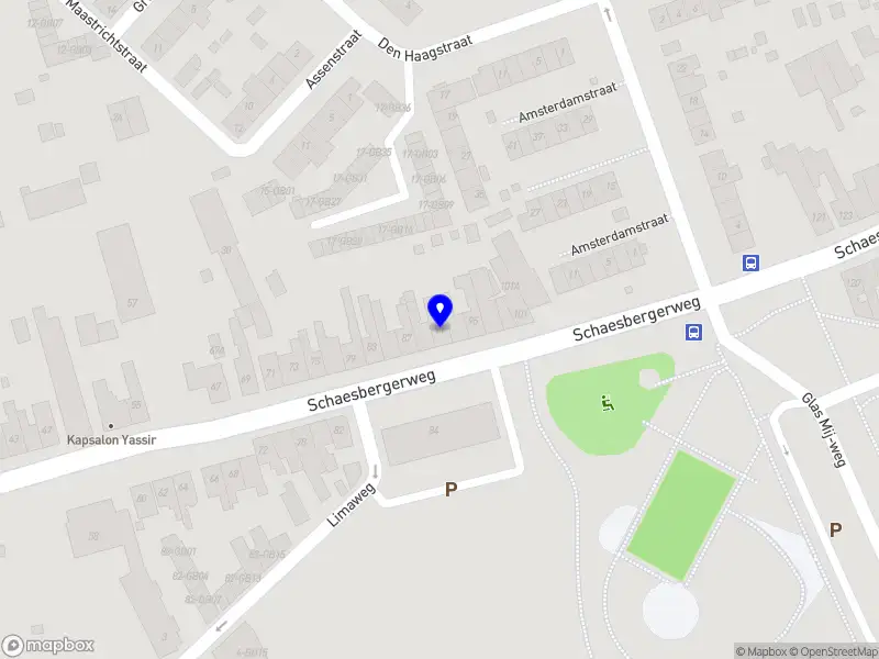 Survion B.V. Heerlen