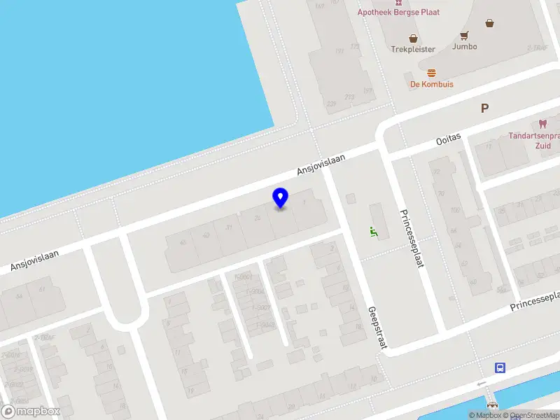 Odessa Investments B.V. Bergen op Zoom