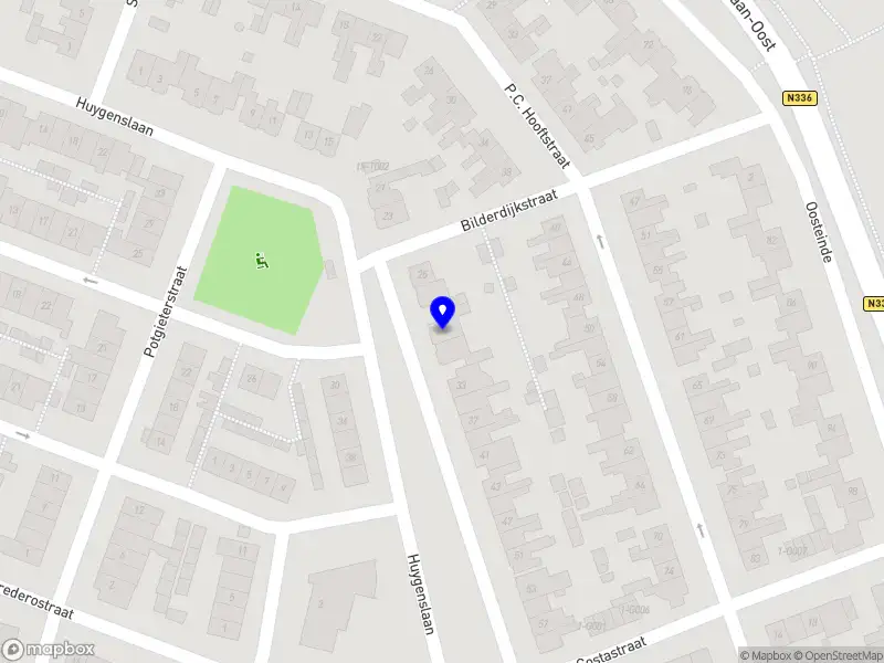 Roderick de Vries, taalspecialist