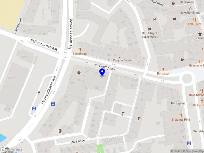 Harpiste Elsbeth Verheij Breda