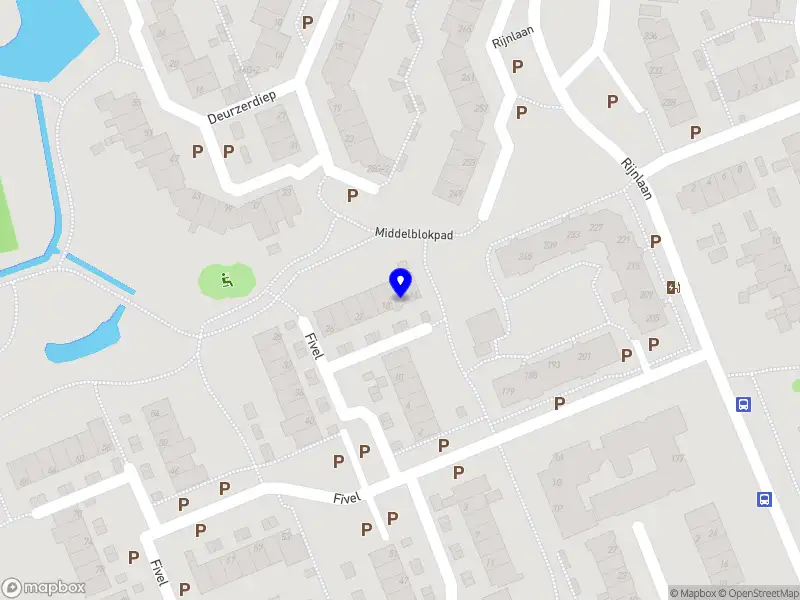 Bassie Taxi Services