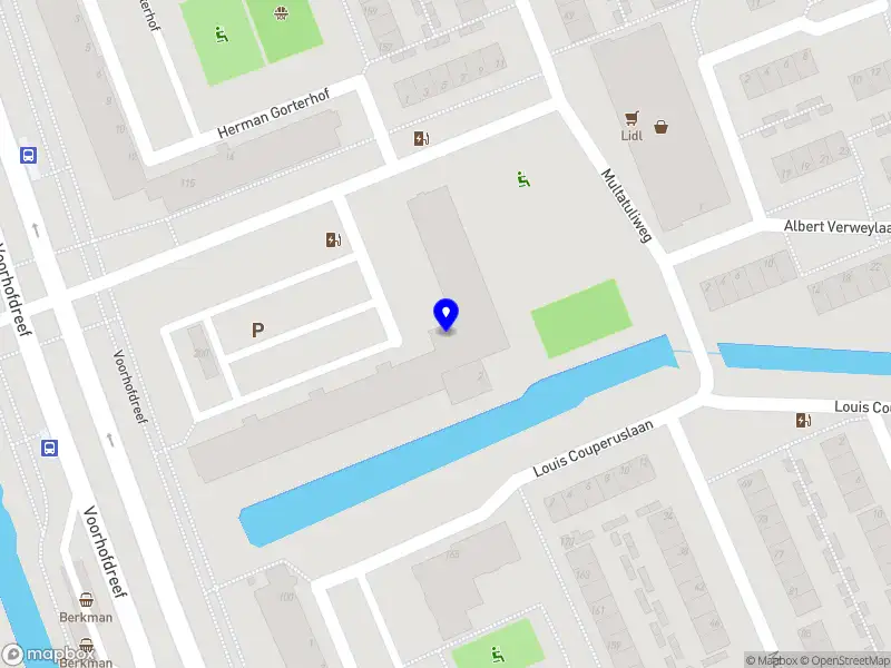 Gamze Pilavcilar Delft