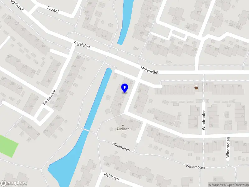 BDG Connect en Consult