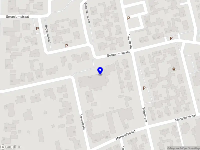 Groei met een Glimlach