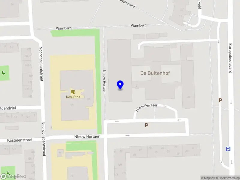 Dercath Amsterdam