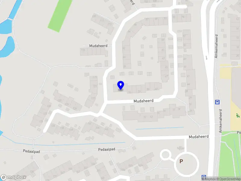 Yanoa de Plaa Performer