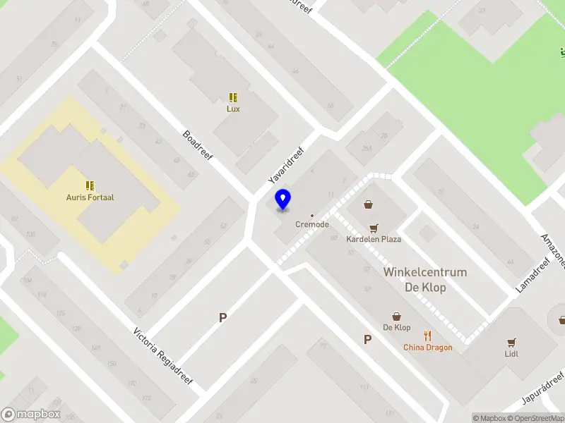 RidePlus Utrecht