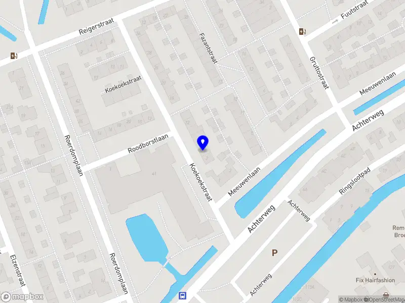 Daylicare service Nieuwkoop