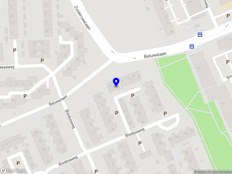 Dhaninyo’s Trafficservice Haarlem