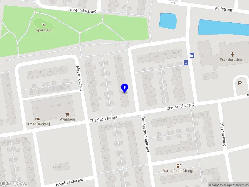 DFG Dutch Fire Guard