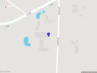 Ned.New Forest Pony Stamboek