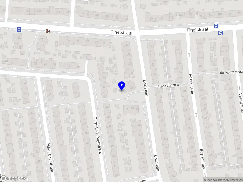 Nas Kunst&Natuureducatie