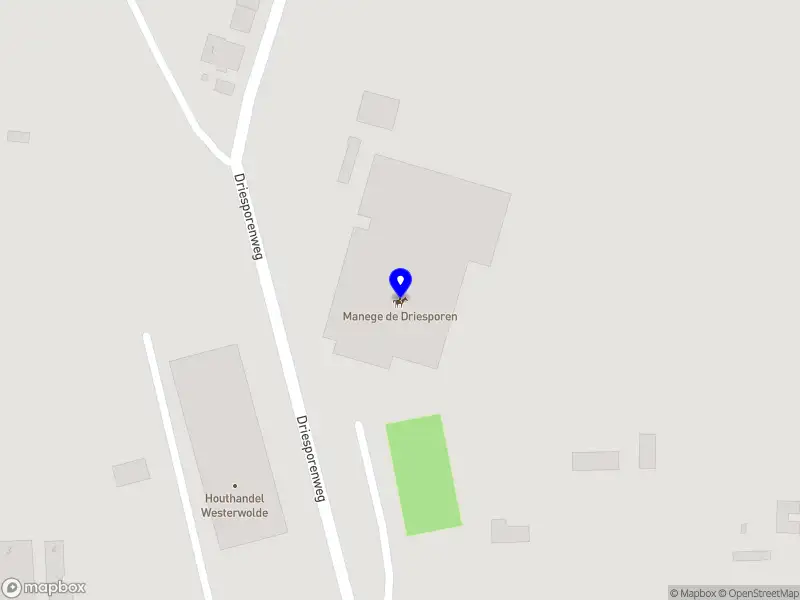 Stichting Manege "De Driesporen" Onstwedde