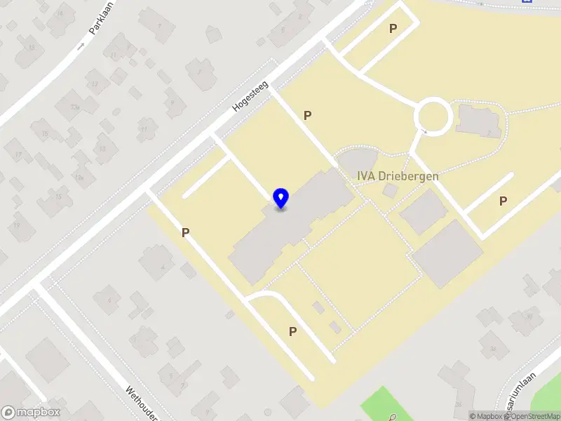 IVA Driebergen Young Professionals